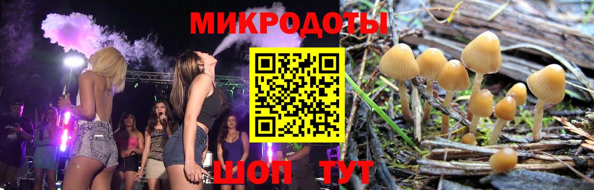 Галлюциногенные грибы Psilocybine cubensis  Вход с VPN  Коммунар 